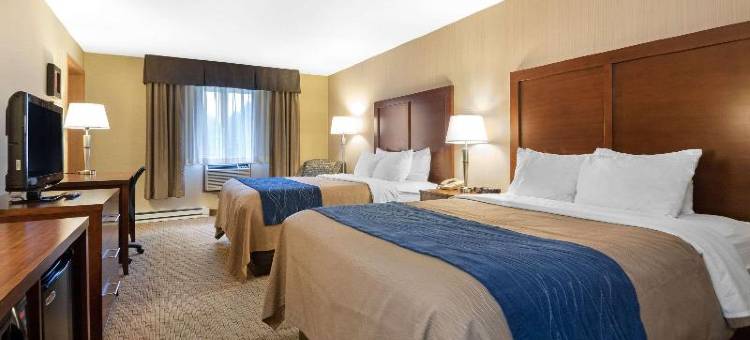 铁山北部的舒适酒店(Comfort Inn)图片