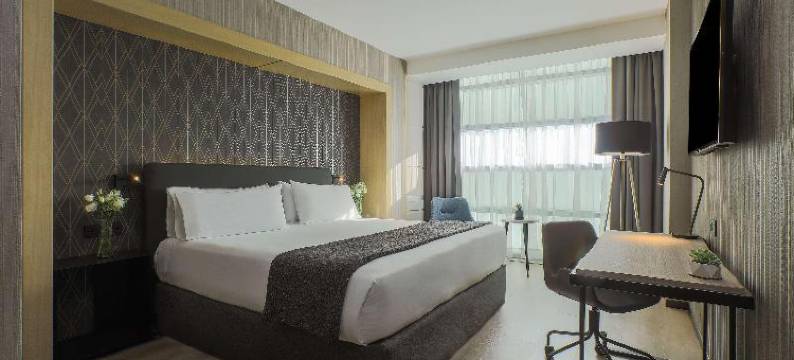 NH瓦勒多拉朵酒店(NH Mexico City Valle Dorado)图片