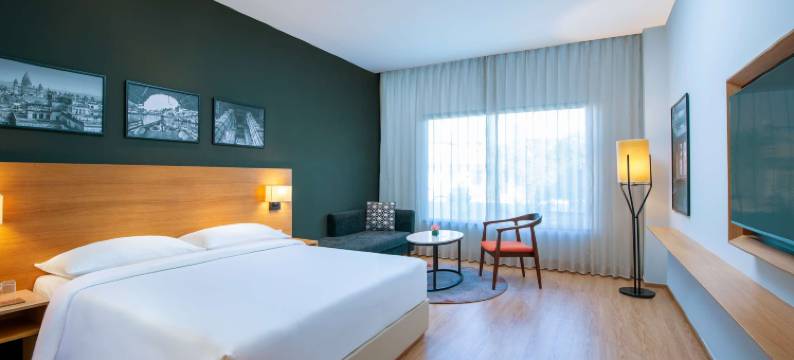 瓜廖尔丽柏酒店(Park Inn by Radisson Gwalior)图片