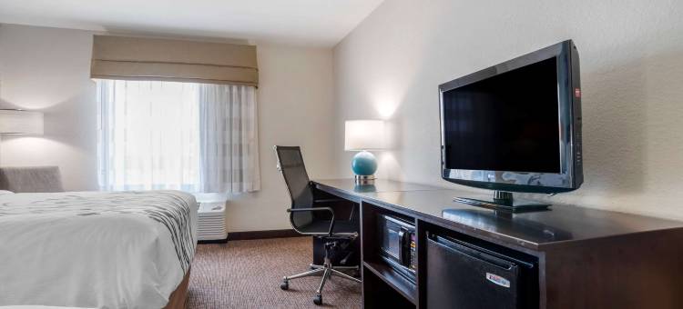 奥本校园区I-85舒眠套房酒店(Sleep Inn & Suites Auburn Campus Area I-85)图片