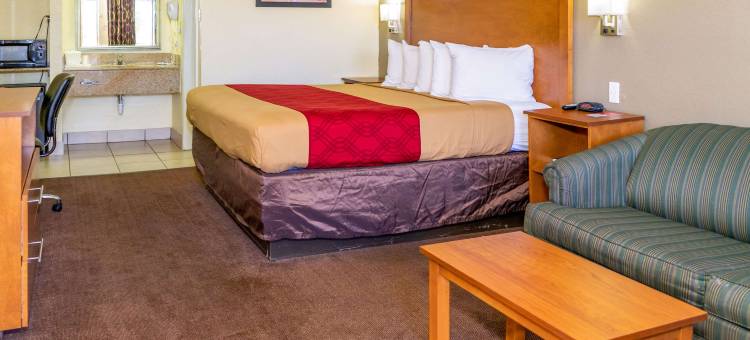 韦尔登罗阿诺克拉皮兹伊克诺旅馆(Econo Lodge Weldon - Roanoke Rapids)图片