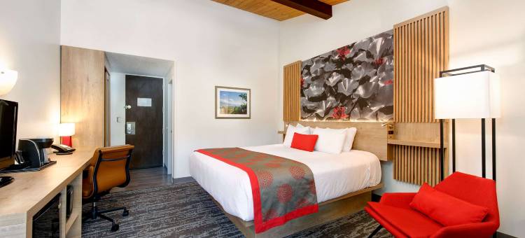 圣巴巴拉华美达酒店(Ramada by Wyndham Santa Barbara)图片