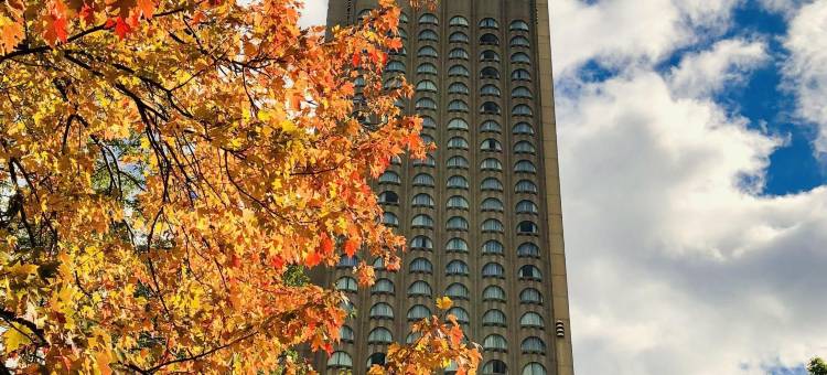 蒙特利尔山普林城堡万豪酒店(Montreal Marriott Chateau Champlain)图片