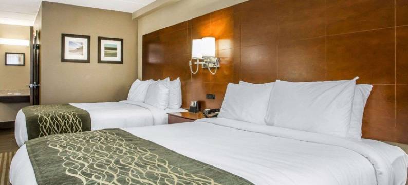 哈蒙德I-94舒适酒店(Comfort Inn Hammond I-94)图片