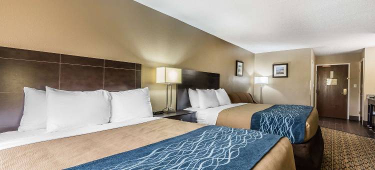 克里斯托运动中心舒适套房酒店(Comfort Inn & Suites Crystal Inn Sportsplex)图片