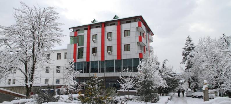 皮亚萨酒店(Hotel Piazza)图片