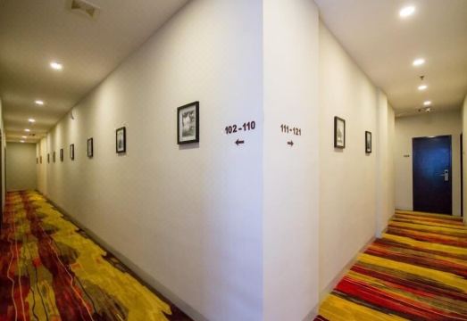 Omg Hotel Hotel Overview