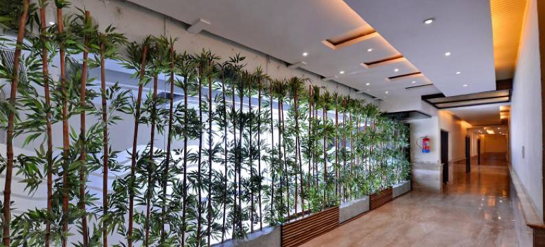 藏红花酒店(Hotel Saffron)图片