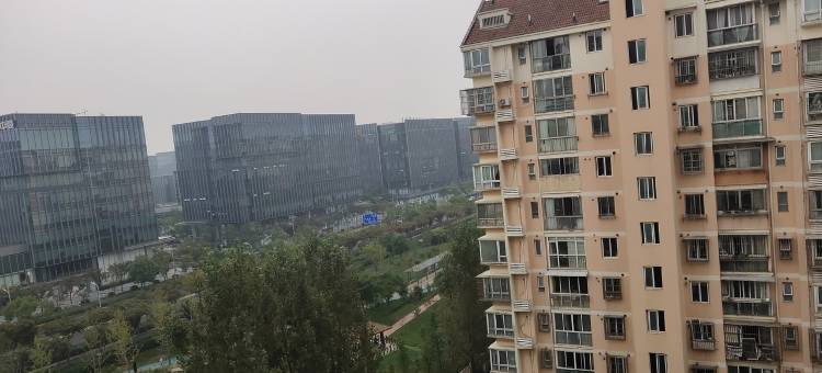 小虎家客栈(申滨路1号分店)图片