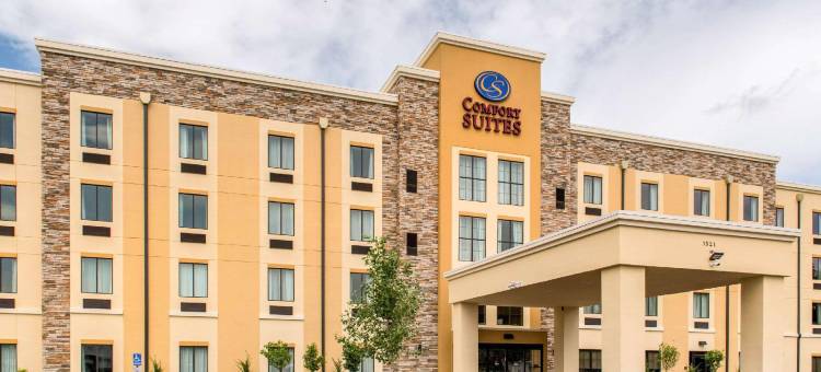 哥伦布机场舒适套房酒店(Comfort Suites Columbus Airport)图片