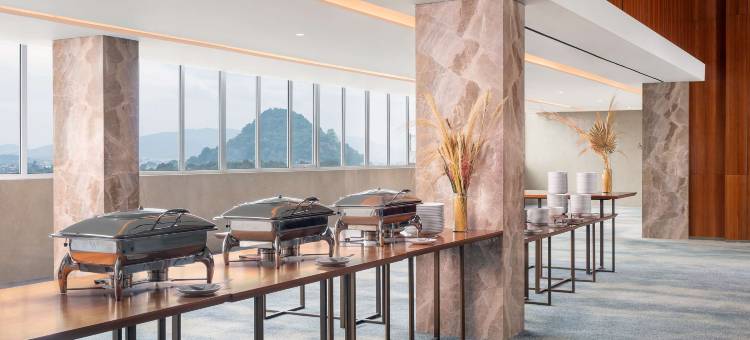 楠榜科达顿丽笙酒店(Radisson Lampung Kedaton)图片