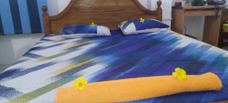 睿智假日民宿(Smart Holiday Inn)图片