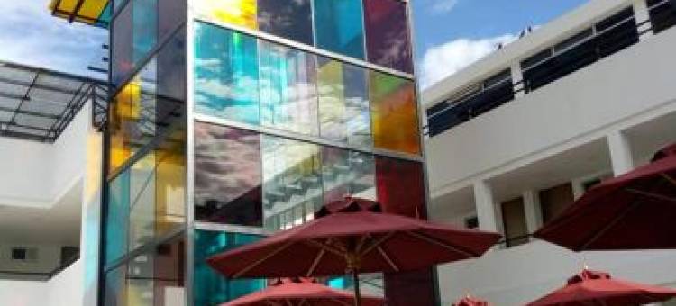 卡梅尔酒店(Hotel Karmel)图片