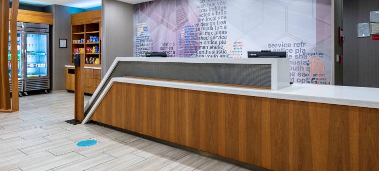 亚特兰大阿尔普哈雷塔/罗斯威尔万豪SpringHill Suites酒店(SpringHill Suites Atlanta Alpharetta/Roswell)图片