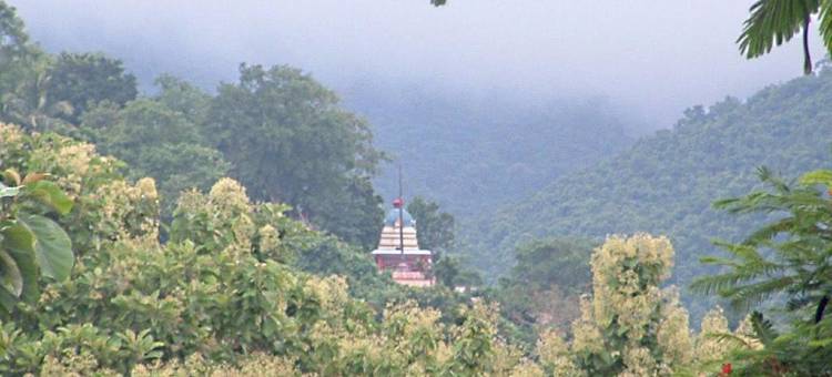 乌沙里公寓-阿鲁库谷路(Ushasree Residency)图片