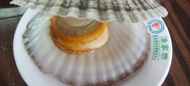 长岛仙来厚道渔家特色民宿(海滨路分店)图片