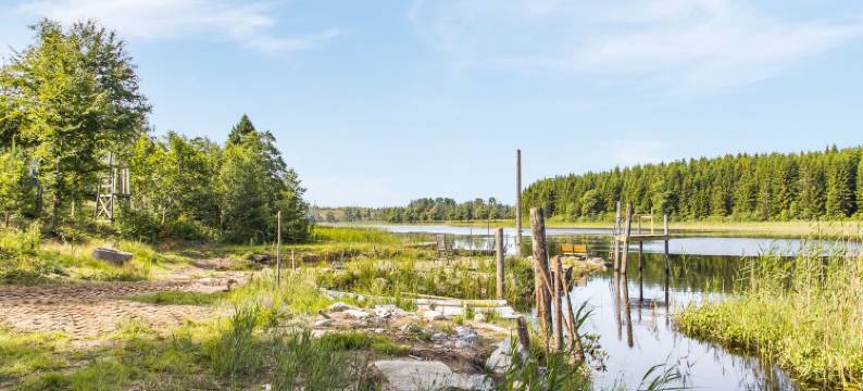 Enerhögen Lingonet图片