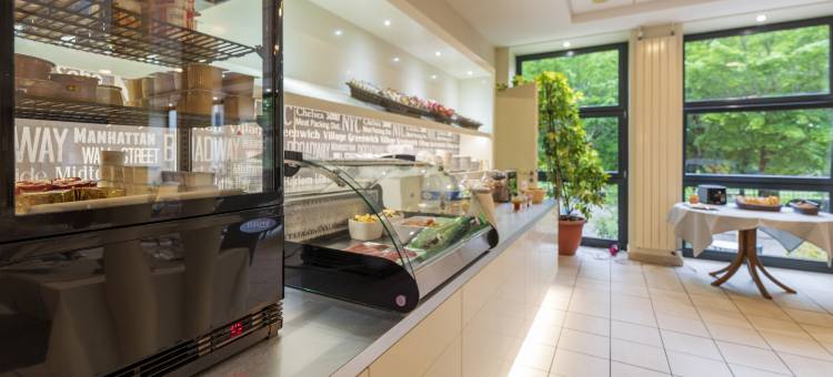 瑟莱斯吕克瑟伊来源酒店(Hotel Cerise - les Sources Luxeuil-Les-Bains)图片