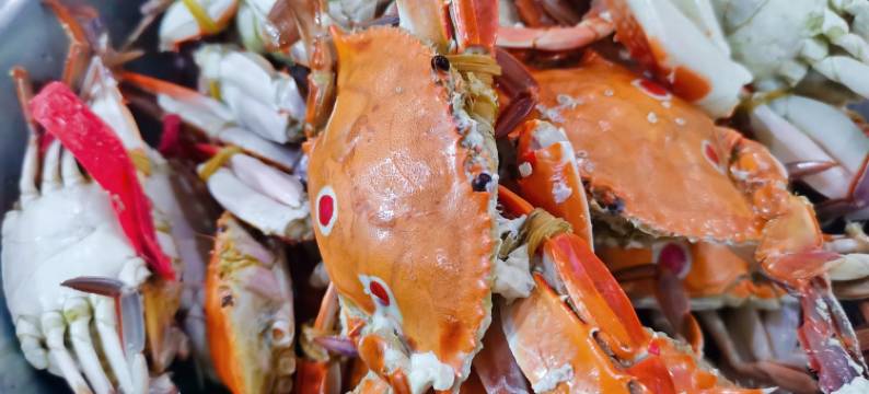 多套房源四房两厅两卫带阳台147平公寓(银滩中路分店)图片