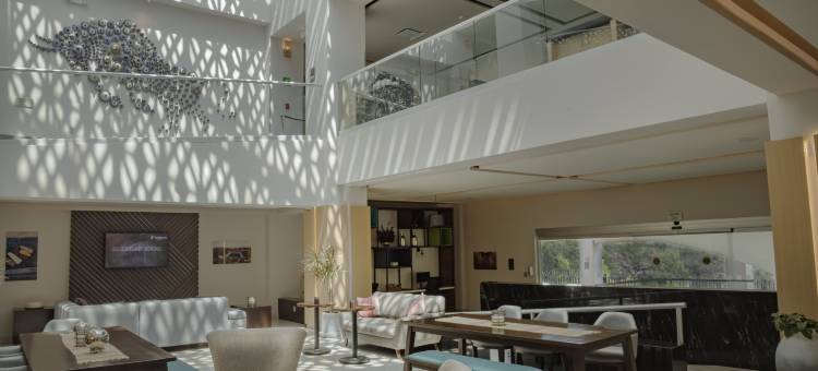 特拉斯卡拉假日酒店(Holiday Inn TLAXCALA by IHG)图片