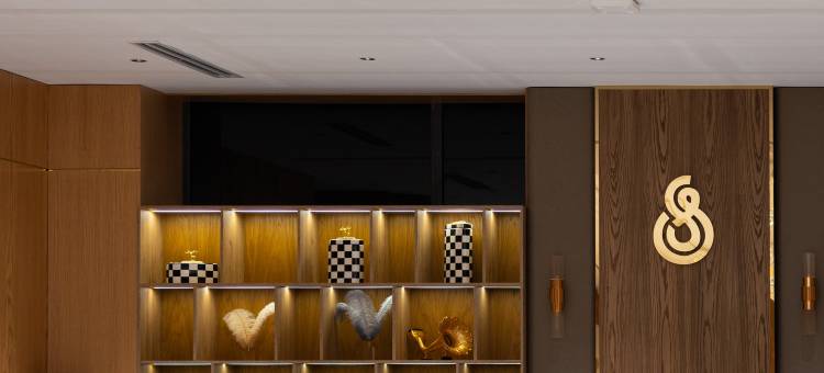 Shamsan机场酒店(Shamsan Airport Hotel)图片