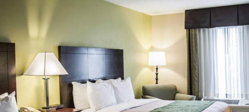 舒适酒店及套房-圣彼得堡-克利尔沃特国际机场(Comfort Inn & Suites St Pete - Clearwater International Airport)图片