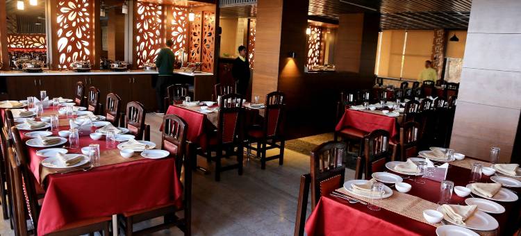 拉温宫殿酒店(Hotel Ravine Palace)图片