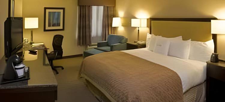威尔明顿希尔顿逸林酒店(DoubleTree by Hilton Wilmington)图片