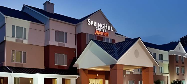 休斯顿布鲁克哈罗万豪SpringHill酒店(SpringHill Suites Houston Brookhollow)图片