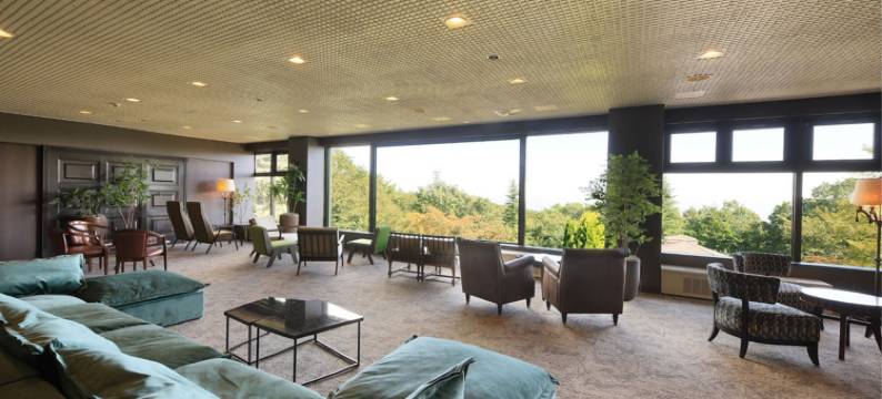 那须景观宫殿酒店(Fourtreat Plus Nasukogen)图片