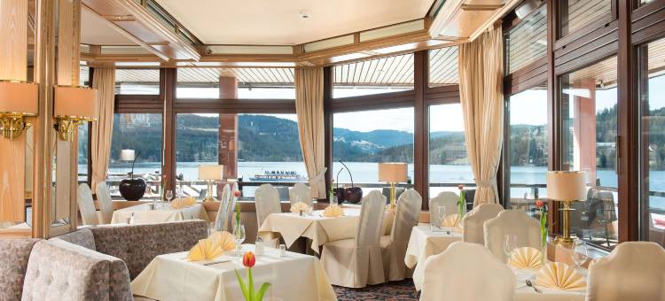蒂蒂湖酒店(Maritim TitiseeHotel Titisee-Neustadt)图片