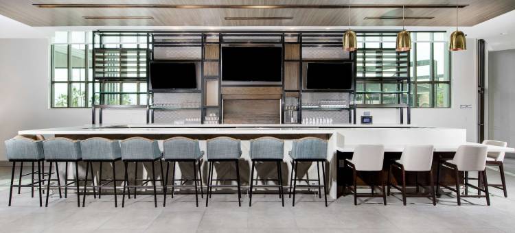 希尔顿花园酒店哈灵根会议中心(Hilton Garden Inn Harlingen Convention Center)图片