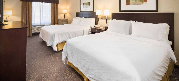 拉什莫尔山希尔城温德姆阿美瑞辛酒店(AmericInn by Wyndham Hill City Mt Rushmore)图片