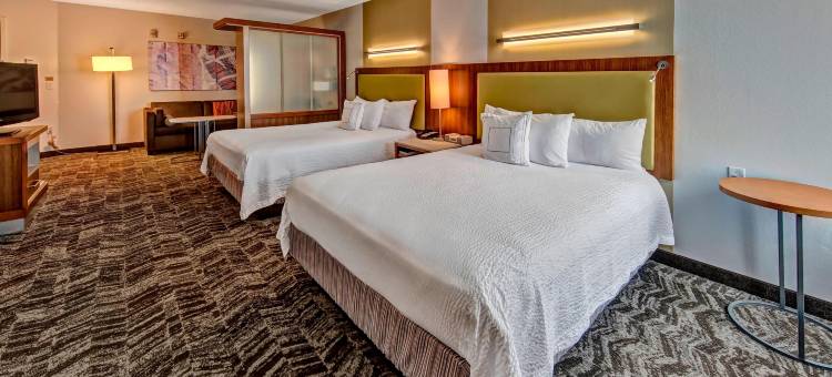 俄克拉荷马市穆尔万豪SpringHill Suites 酒店(SpringHill Suites Oklahoma City Moore)图片