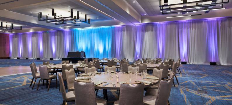 拉斯科琳娜威斯汀欧文会议中心(The Westin Irving Convention Center at Las Colinas)图片