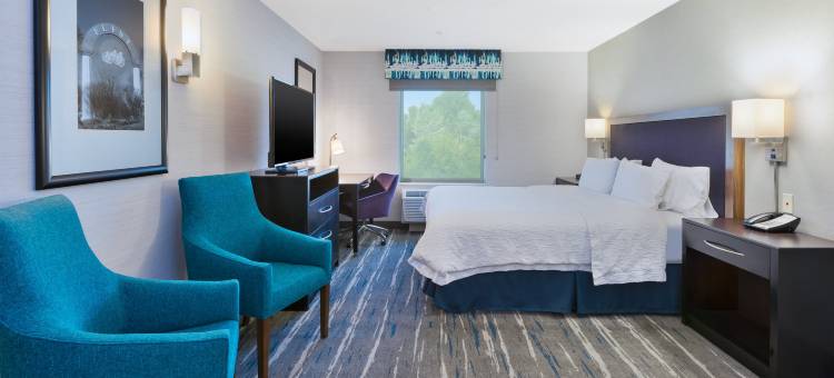 希尔顿欢朋套房酒店-弗林特大布兰克(Hampton Inn & Suites Flint/Grand Blanc)图片
