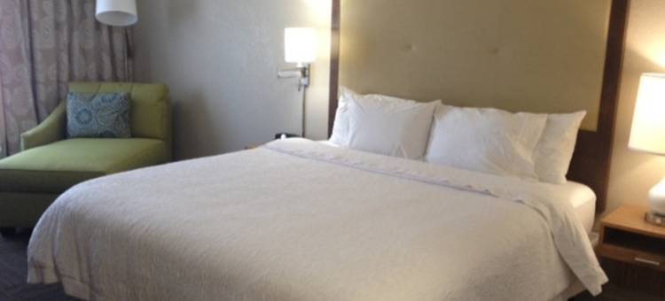 欢朋坦帕洛基泊因酒店(Hampton Inn Tampa-Airport/Rocky Point)图片