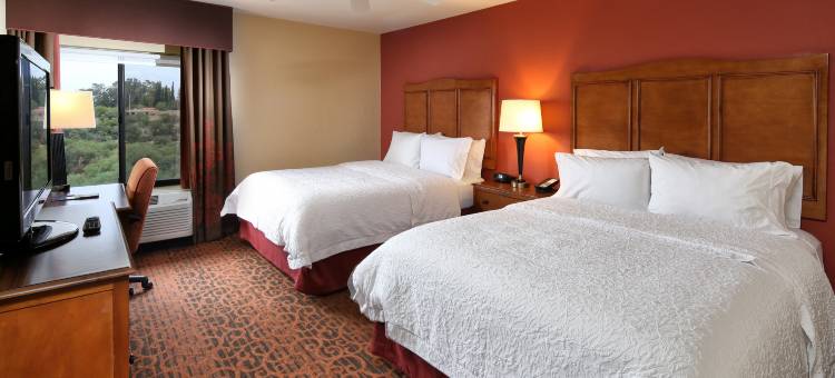 希尔顿欢朋套房酒店-图森购物中心(Hampton Inn & Suites Tucson-Mall)图片