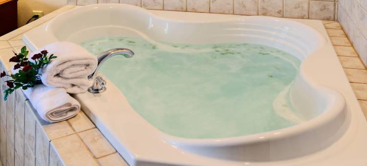 伊利诺斯普林菲尔德希尔顿花园酒店(Hilton Garden Inn Springfield, IL)图片