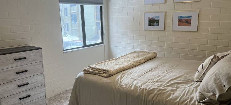 位置便利2卧室+loft复式配空调公寓!!(2 bedroom + loft w/AC close to it all!!)图片