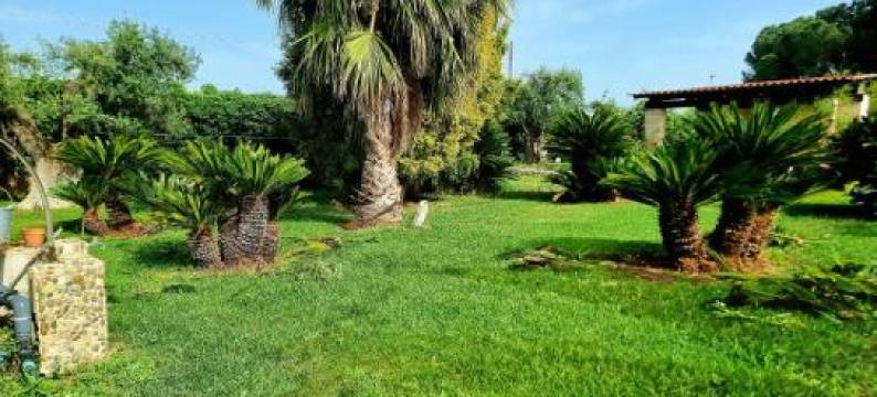 玫瑰农场28号住宿加早餐旅馆(B&B Rosa Podere 28)图片