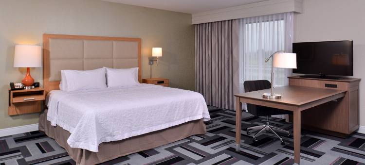 埃姆斯欢朋套房酒店(Hampton Inn & Suites Ames)图片