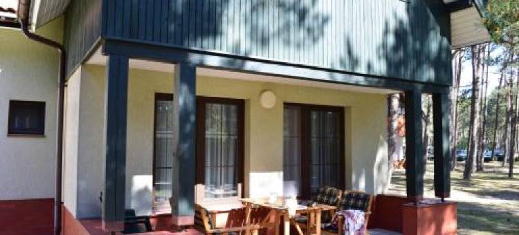 Navigator Energetyk图片