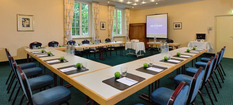 迪尔林登霍夫酒店(Hotel der Lindenhof)图片