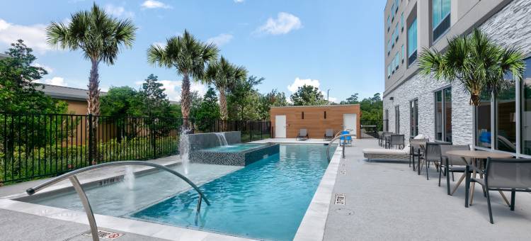 谢南多厄伍德兰希尔顿欢朋酒店(Hampton Inn & Suites by Hilton Shenandoah the Woodlands)图片