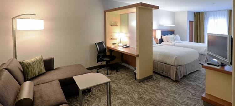 奥尔巴尼-科勒尼 SpringHill Suites 酒店(SpringHill Suites Albany-Colonie)图片