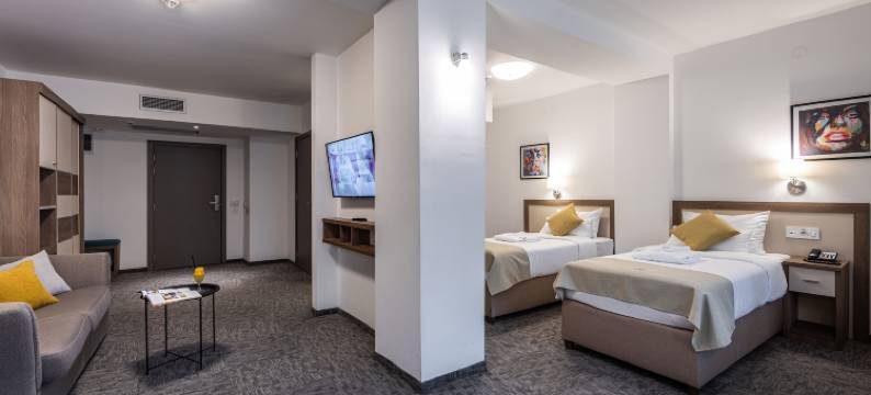 喷泉酒店(Hotel Fontana Vrnjačka Banja)图片