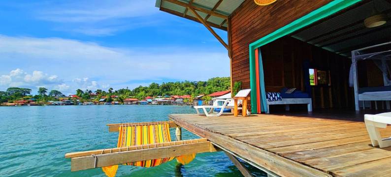 海猴酒店(The Sea Monkey)图片