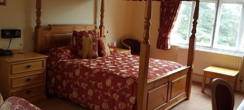 尼顿酒店(The Nyton Guesthouse)图片