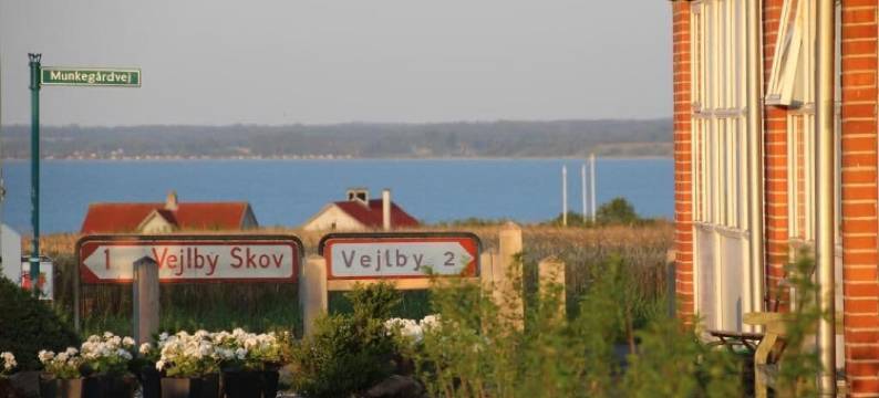 山姆斯特德(Samsted)图片